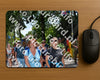 Evenement foto: Nijmeegse Vierdaagse 1075