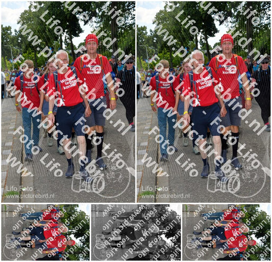 Evenement foto: Nijmeegse Vierdaagse 1075