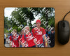 Evenement foto: Nijmeegse Vierdaagse 1075