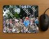 Evenement foto: Nijmeegse Vierdaagse 1075