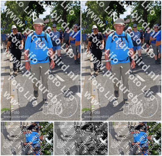 Evenement foto: Nijmeegse Vierdaagse 1075