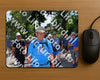 Evenement foto: Nijmeegse Vierdaagse 1075