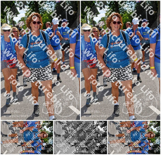 Evenement foto: Nijmeegse Vierdaagse 1075