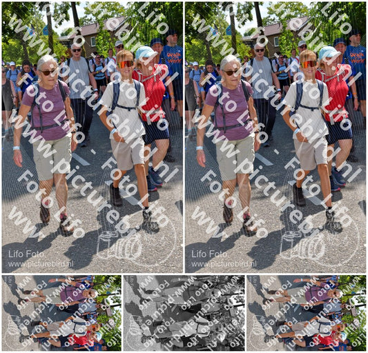 Evenement foto: Nijmeegse Vierdaagse 1075