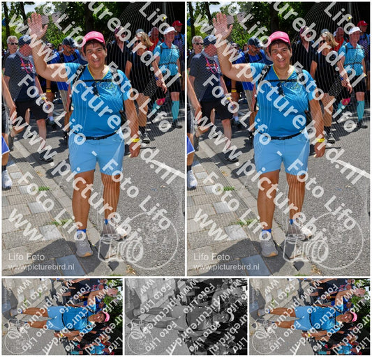Evenement foto: Nijmeegse Vierdaagse 1075