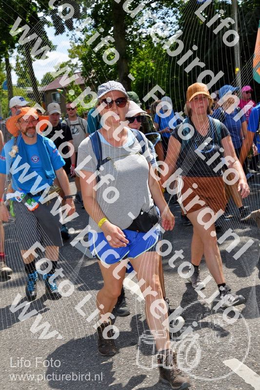 Evenement foto: Nijmeegse Vierdaagse 1075