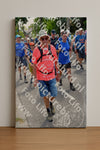 Evenement foto: Nijmeegse Vierdaagse 1074