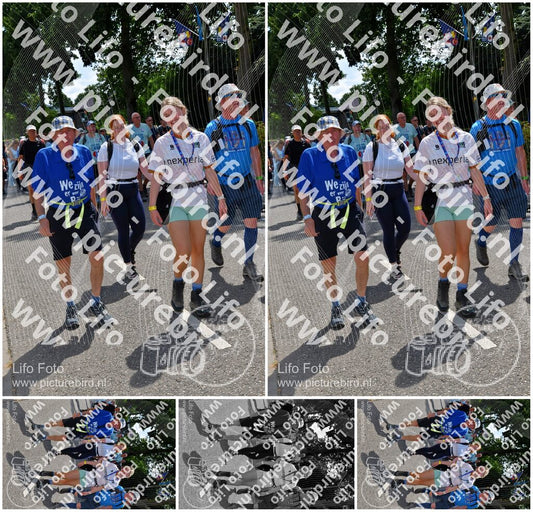 Evenement foto: Nijmeegse Vierdaagse 1074