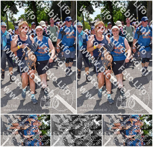 Evenement foto: Nijmeegse Vierdaagse 1074
