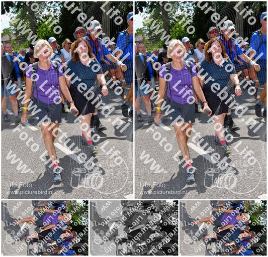 Evenement foto: Nijmeegse Vierdaagse 1074