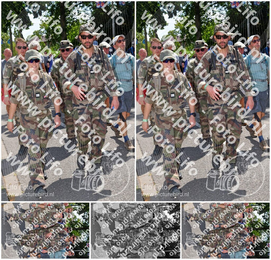 Evenement foto: Nijmeegse Vierdaagse 1074