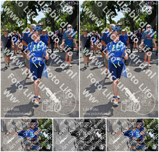 Evenement foto: Nijmeegse Vierdaagse 1074