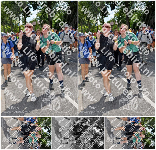 Evenement foto: Nijmeegse Vierdaagse 1074