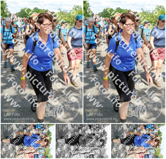 Evenement foto: Nijmeegse Vierdaagse 1073