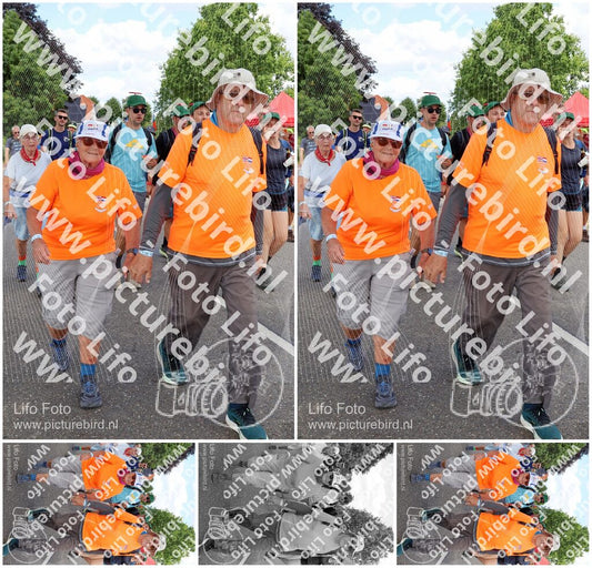 Evenement foto: Nijmeegse Vierdaagse 1073