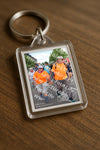 Evenement foto: Nijmeegse Vierdaagse 1073