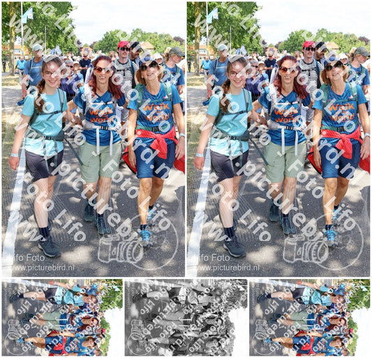 Evenement foto: Nijmeegse Vierdaagse 1072