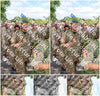 Evenement foto: Nijmeegse Vierdaagse 1072
