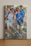 Evenement foto: Nijmeegse Vierdaagse 1072