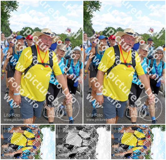 Evenement foto: Nijmeegse Vierdaagse 1071