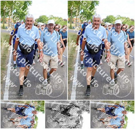 Evenement foto: Nijmeegse Vierdaagse 1071