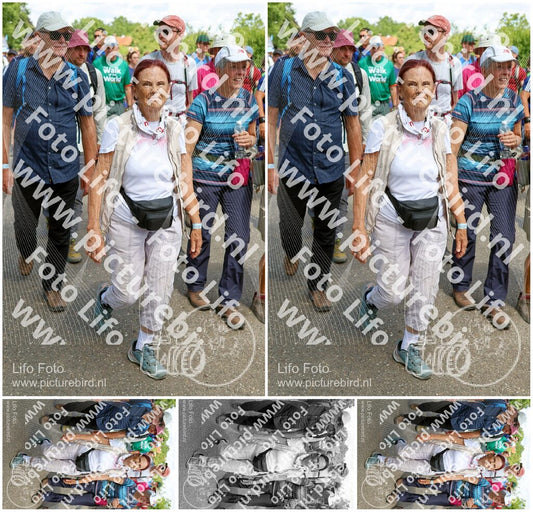 Evenement foto: Nijmeegse Vierdaagse 1071