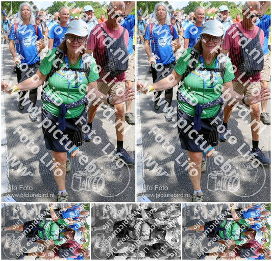 Evenement foto: Nijmeegse Vierdaagse 1071