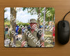 Evenement foto: Nijmeegse Vierdaagse 1071