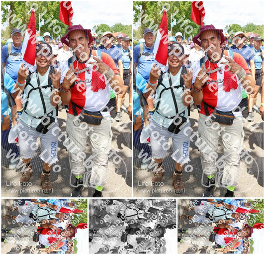 Evenement foto: Nijmeegse Vierdaagse 1071