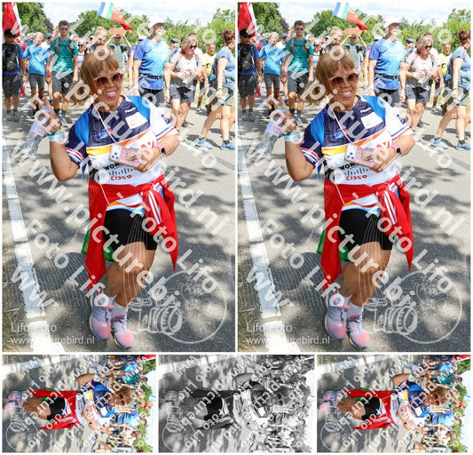 Evenement foto: Nijmeegse Vierdaagse 1071