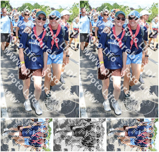 Evenement foto: Nijmeegse Vierdaagse 1071