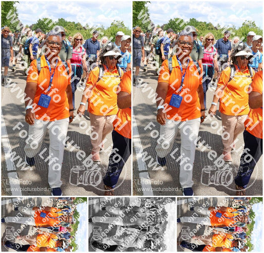 Evenement foto: Nijmeegse Vierdaagse 1070