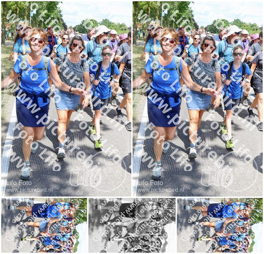 Evenement foto: Nijmeegse Vierdaagse 1070