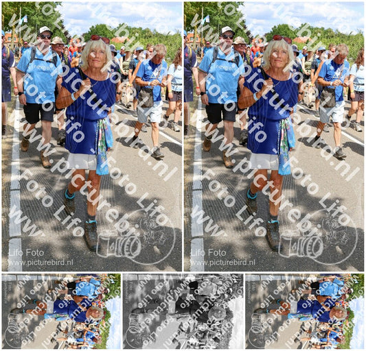 Evenement foto: Nijmeegse Vierdaagse 1070