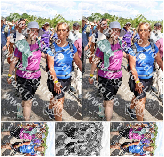 Evenement foto: Nijmeegse Vierdaagse 1070
