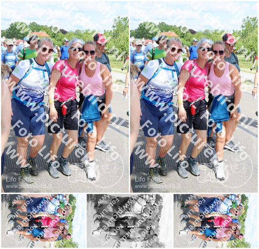 Evenement foto: Nijmeegse Vierdaagse 1070