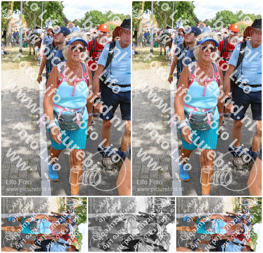 Evenement foto: Nijmeegse Vierdaagse 1070