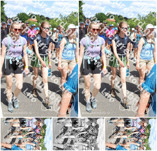 Evenement foto: Nijmeegse Vierdaagse 1069