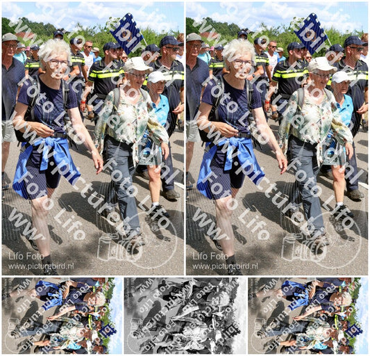 Evenement foto: Nijmeegse Vierdaagse 1069