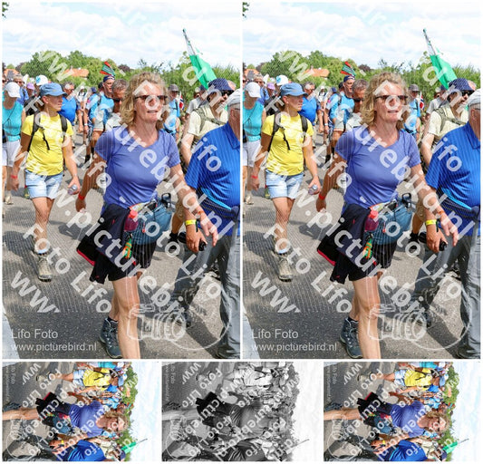 Evenement foto: Nijmeegse Vierdaagse 1069