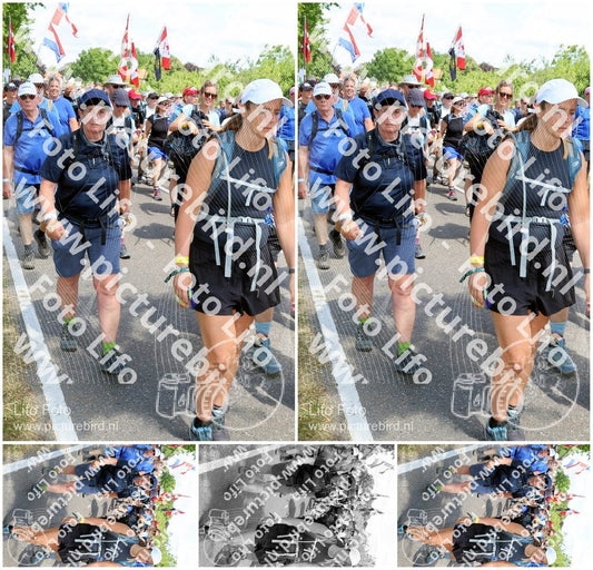 Evenement foto: Nijmeegse Vierdaagse 1069