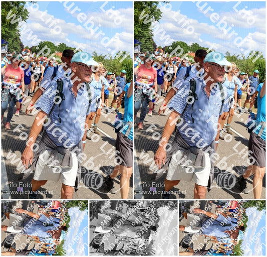 Evenement foto: Nijmeegse Vierdaagse 1069