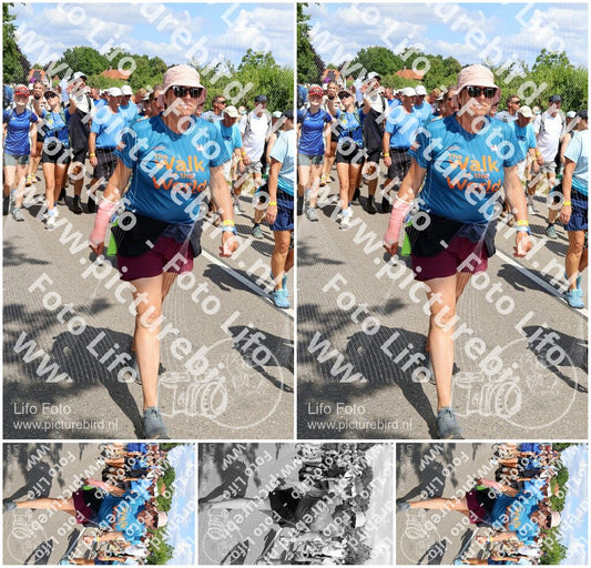 Evenement foto: Nijmeegse Vierdaagse 1069