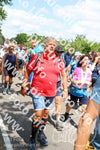 Evenement foto: Nijmeegse Vierdaagse 1069