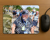 Evenement foto: Nijmeegse Vierdaagse 1069