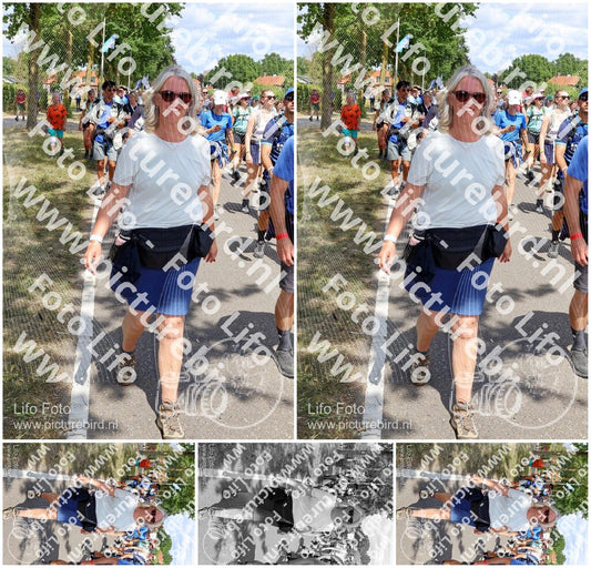 Evenement foto: Nijmeegse Vierdaagse 1069