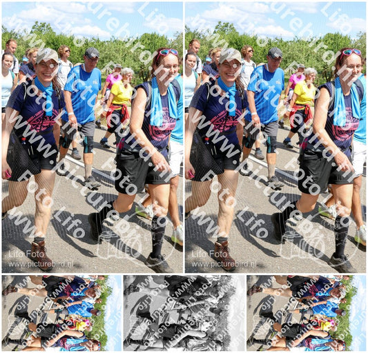 Evenement foto: Nijmeegse Vierdaagse 1069