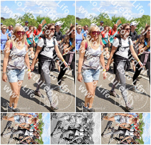 Evenement foto: Nijmeegse Vierdaagse 1068