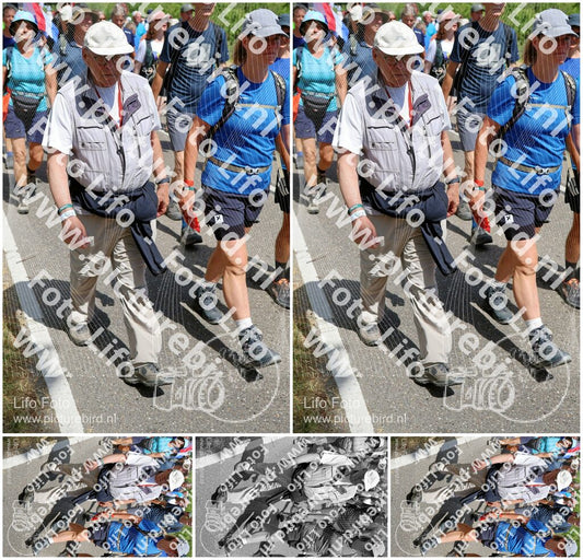 Evenement foto: Nijmeegse Vierdaagse 1068