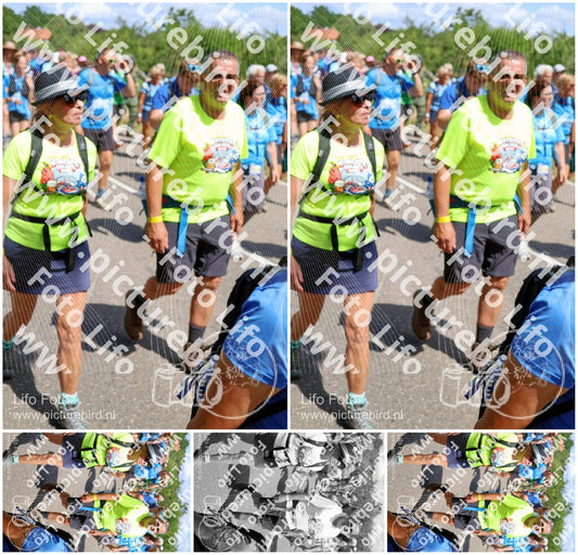 Evenement foto: Nijmeegse Vierdaagse 1067
